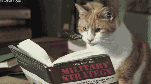 Cat Reading